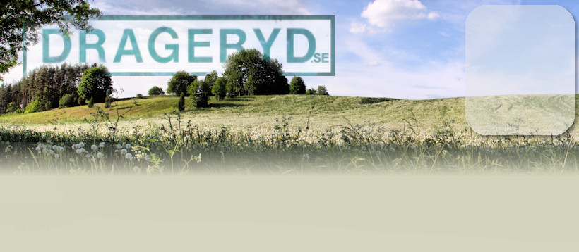drageryd.se - V�lkommen till IF �sen!